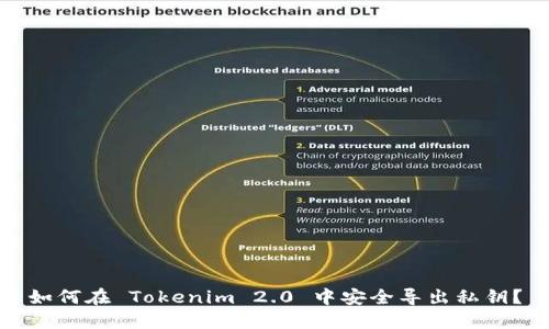 如何在 Tokenim 2.0 中安全导出私钥?