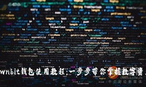 详解Ownbit钱包使用教程：一步步带你掌握数字资产管理