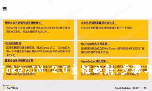 如何进行TokenIM 2.0主链映射：步骤与技巧解析
