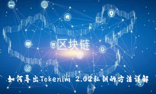 如何导出Tokenim 2.02私钥的方法详解