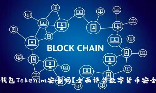 冷钱包Tokenim安全吗？全面评估数字货币安全性