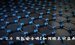 Tokenim 2.0 钱包安全吗？如何避免被盗刷的风险