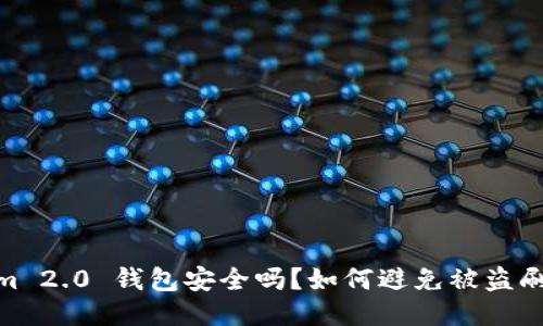 Tokenim 2.0 钱包安全吗？如何避免被盗刷的风险