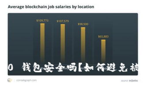 Tokenim 2.0 钱包安全吗？如何避免被盗刷的风险