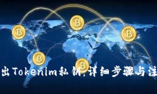 如何导出Tokenim私钥：详细步骤与注意事项