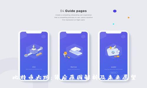比特币大跌：背后原因解析及未来展望