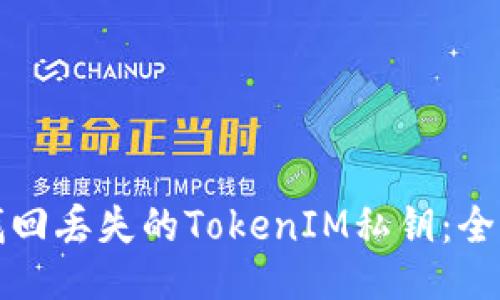 如何找回丢失的TokenIM私钥：全面指南