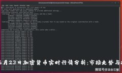 2023年6月23日加密货币实时行情分析：市场走势与