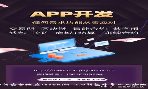 如何安全地在Tokenim 2.0钱包中导入风险地址