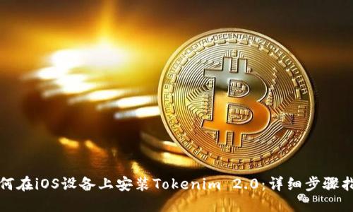 如何在iOS设备上安装Tokenim 2.0：详细步骤指南