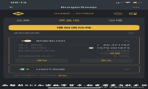 全面解析BKI加密数字货币：投资前景与技术优势