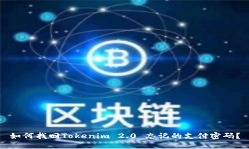 如何找回Tokenim 2.0 忘记的支付密码？