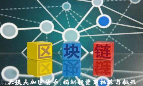 
大姨夫加密货币：揭秘投资新机遇与挑战