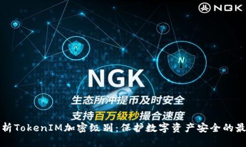 深入解析TokenIM加密级别：保护数字资产安全的最佳方案