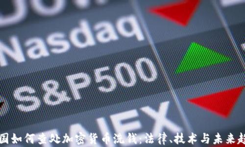 
美国如何查处加密货币洗钱：法律、技术与未来趋势