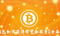   IM钱包如何获得带宽和能量？全面指南