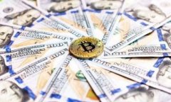 在寻找Tokenim备份的钱包时，您需要按照一些步骤