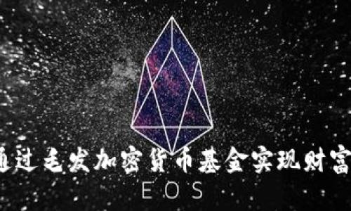 如何通过毛发加密货币基金实现财富增值？