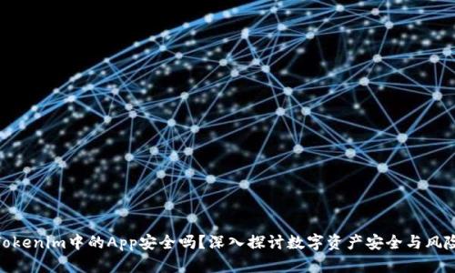 Tokenim中的App安全吗？深入探讨数字资产安全与风险