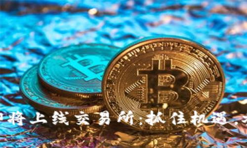 Tokenim 2.0糖果即将上线交易所：抓住机遇，参与数字资产投资潮