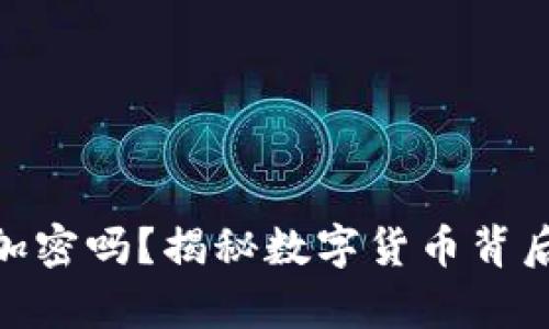 加密货币真的能加密吗？揭秘数字货币背后的安全性与风险