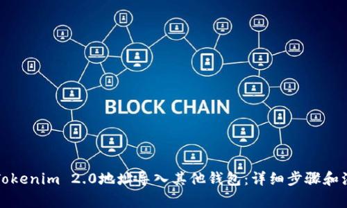 如何将Tokenim 2.0地址导入其他钱包：详细步骤和注意事项