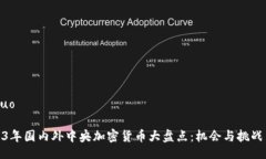 jieguo2023年国内外中央加密货币大盘点：机会与挑