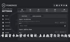 2023年中国货币加密项目解析：未来数字经济的趋