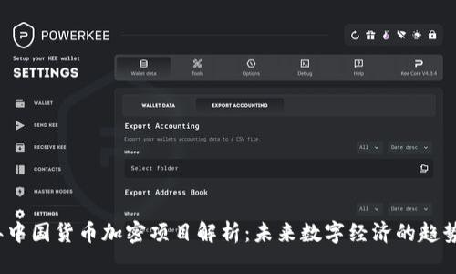 2023年中国货币加密项目解析：未来数字经济的趋势与挑战