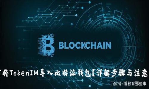 如何将TokenIM导入比特派钱包？详解步骤与注意事项