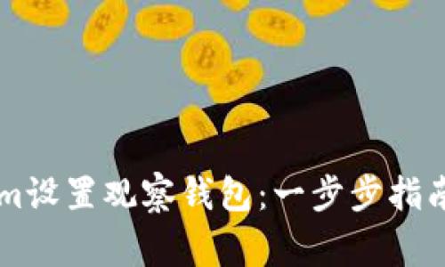 如何使用TokenIm设置观察钱包：一步步指南及常见问题解答