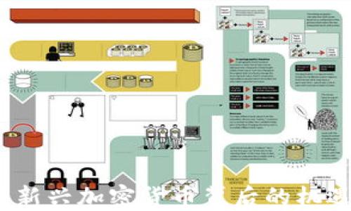 
病毒币：新兴加密货币背后的机遇与挑战