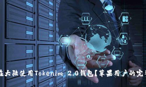 如何在大陆使用Tokenim 2.0钱包？苹果用户的完整指南