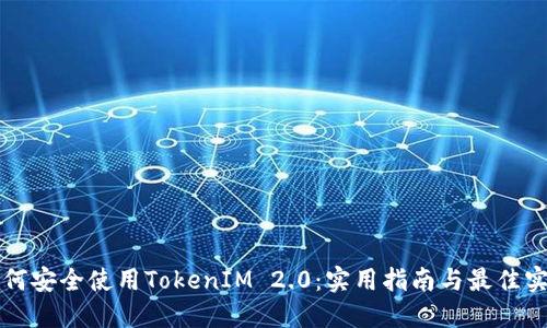 如何安全使用TokenIM 2.0：实用指南与最佳实践