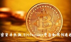 2023年加密货币热潮：Bitfunder平台如何创造投资新