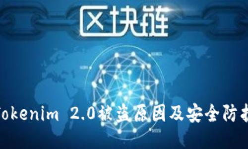 探讨Tokenim 2.0被盗原因及安全防护措施
