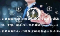 黑客是否能破解TokenIM？揭秘安全性与保护措施