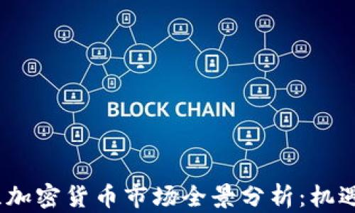 
2023年荷兰加密货币市场全景分析：机遇与挑战并存