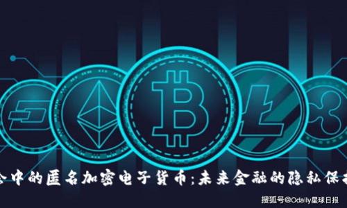 现代社会中的匿名加密电子货币：未来金融的隐私保护与挑战