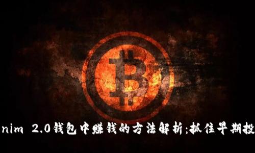 在Tokenim 2.0钱包中赚钱的方法解析：抓住早期投资机会