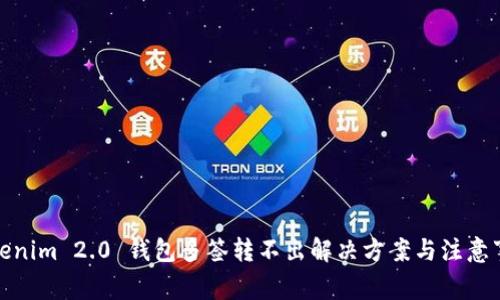 Tokenim 2.0 钱包多签转不出解决方案与注意事项