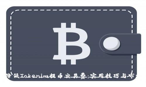 如何降低Tokenim提币交易费：实用技巧与市场解析