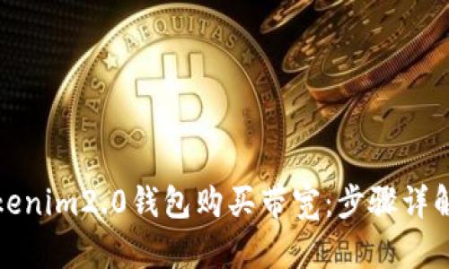 如何通过Tokenim2.0钱包购买带宽：步骤详解与实用技巧
