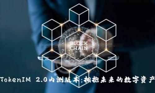 探索TokenIM 2.0内测版本：拥抱未来的数字资产管理