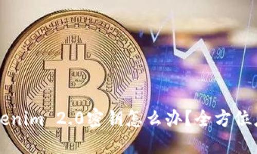 忘记Tokenim 2.0密钥怎么办？全方位应对指南