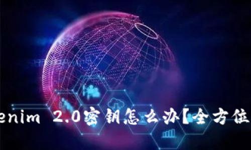 忘记Tokenim 2.0密钥怎么办？全方位应对指南