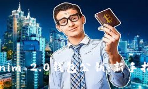 如何查询Tokenim 2.0钱包公钥：新手指南与实用技巧