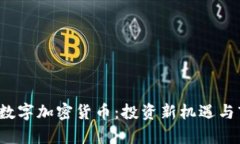 2023年柚子数字加密货币：投资新机遇与市场前景