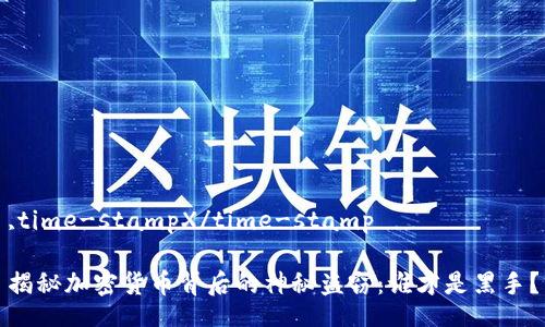 ,time-stampX/time-stamp

揭秘加密货币背后的神秘盗窃：谁才是黑手？