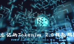 如何找回忘记的Tokenim 2.0钱包码？详细指南